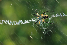 Screen 1 image